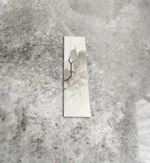 Płaskownik srebrny poler 270 cm